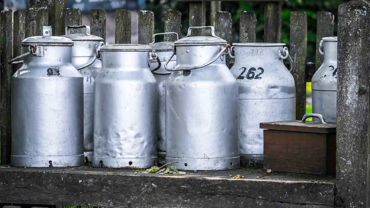 Behind dairy’s unrealized potential 