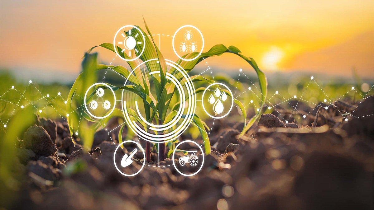 The future of agriculture lies in modernization
